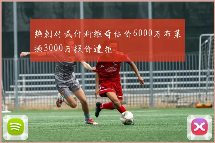 热刺对武什科维奇估价6000万布莱顿3000万报价遭拒